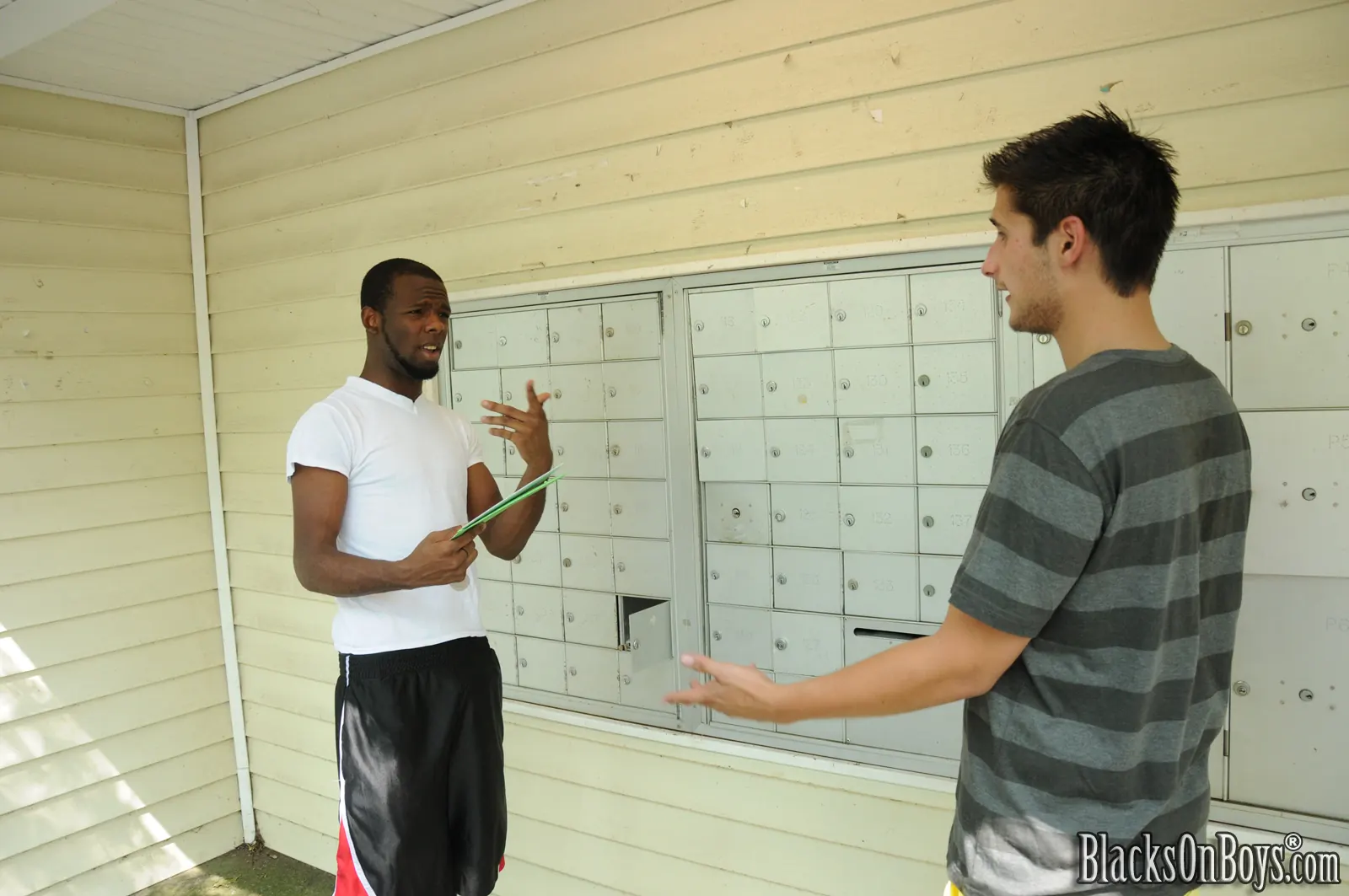 Dogfart Men '- Blacks On Boys' starring Dani Decor (Photo 1)